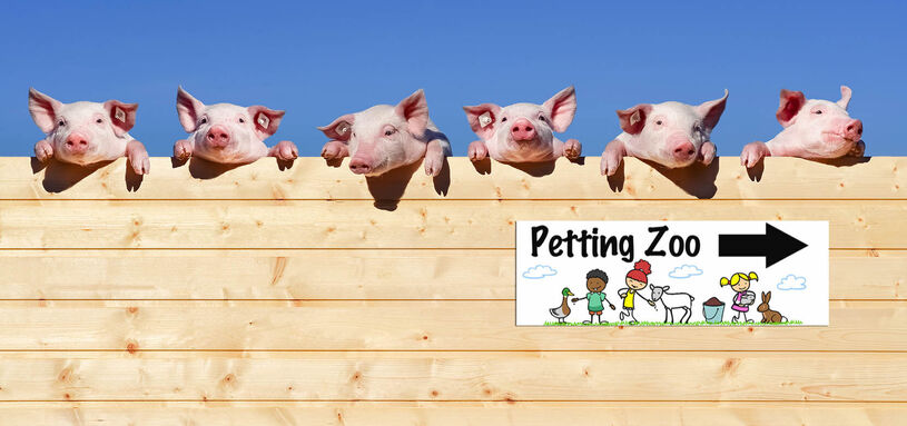 9"x24" PVC Foam Core Panels