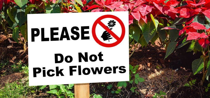 24"x36" PVC Foam Core Panels