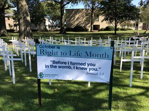 Premium Heavy Duty Vinyl Banners