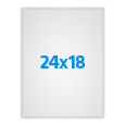 24